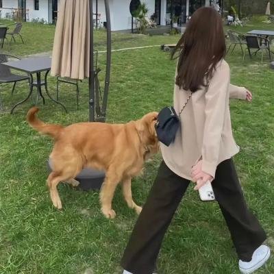 人怕出名