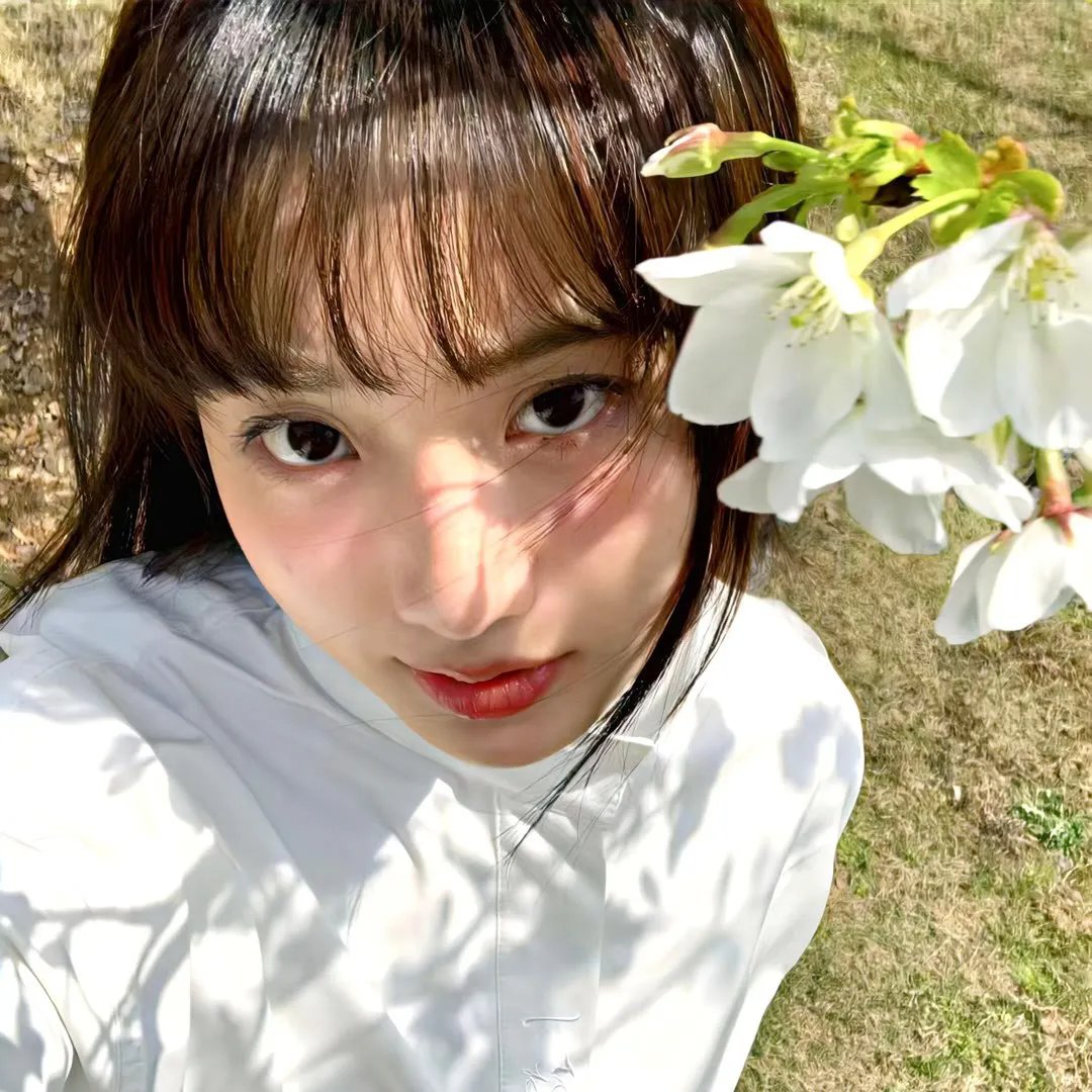 鹅妈妈去好莱坞